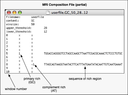 MRI Analyzer example output file
